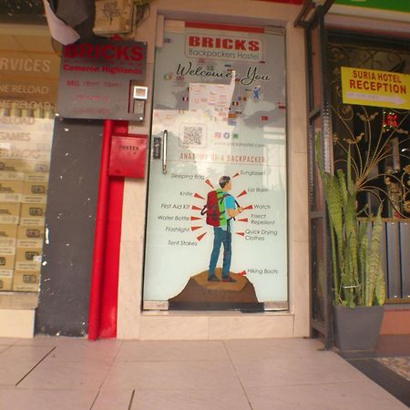 Bricks Cameron Hostel Tanah Rata Ngoại thất bức ảnh